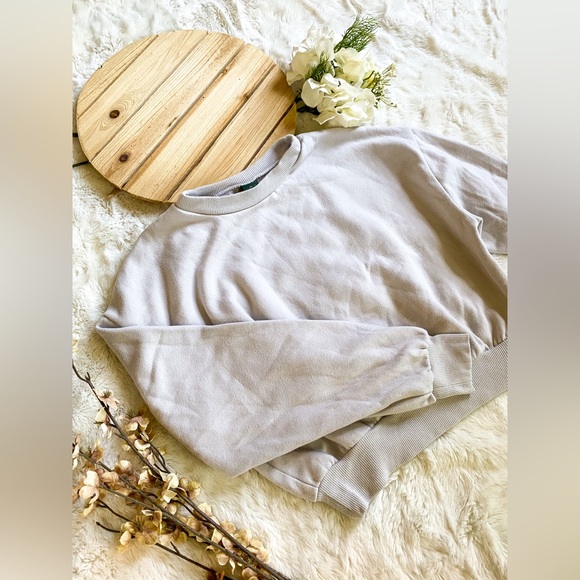 Wild Fable | Cropped Light Grey Sweatshirt - Picture 2 of 5